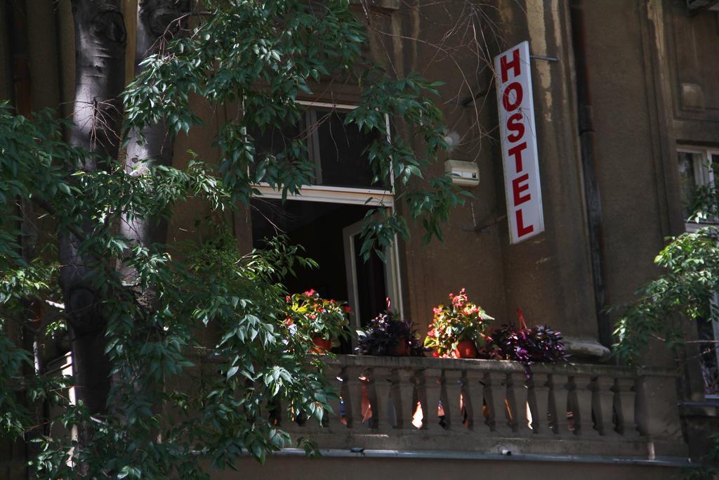 Hostel Sova Novi Sad Exteriér fotografie